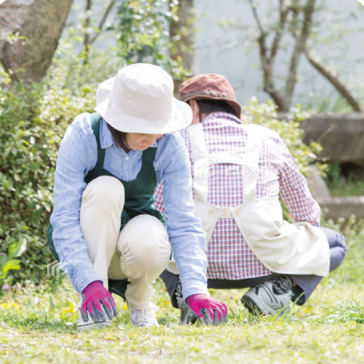 庭掃除・草むしり