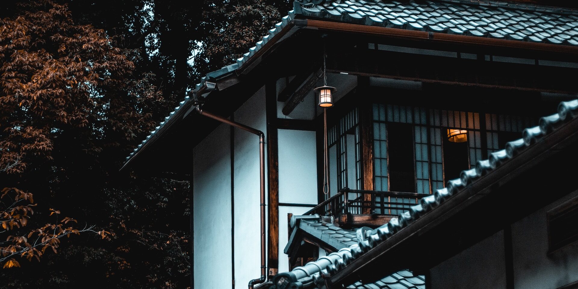 cosmin-georgian-2T9h1sxR5So-unsplash